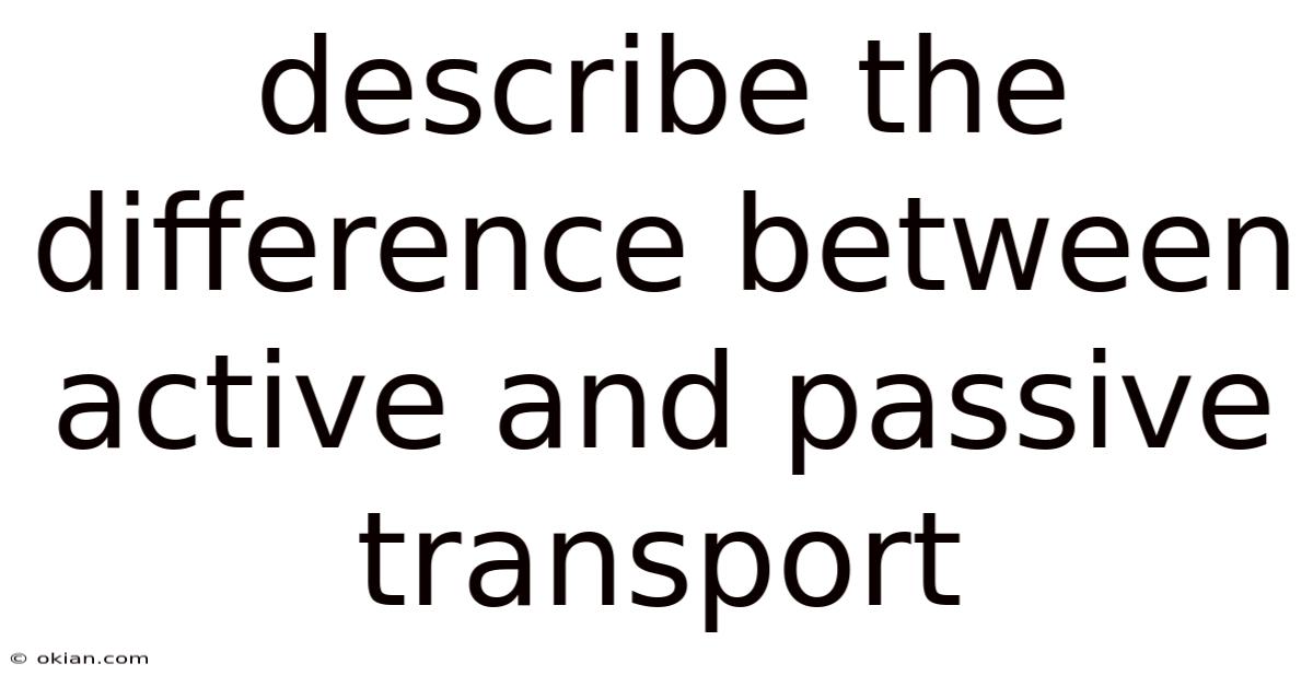 Describe The Difference Between Active And Passive Transport