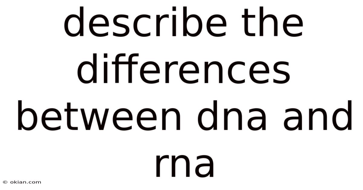 Describe The Differences Between Dna And Rna