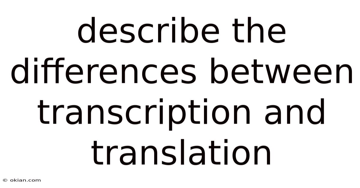 Describe The Differences Between Transcription And Translation