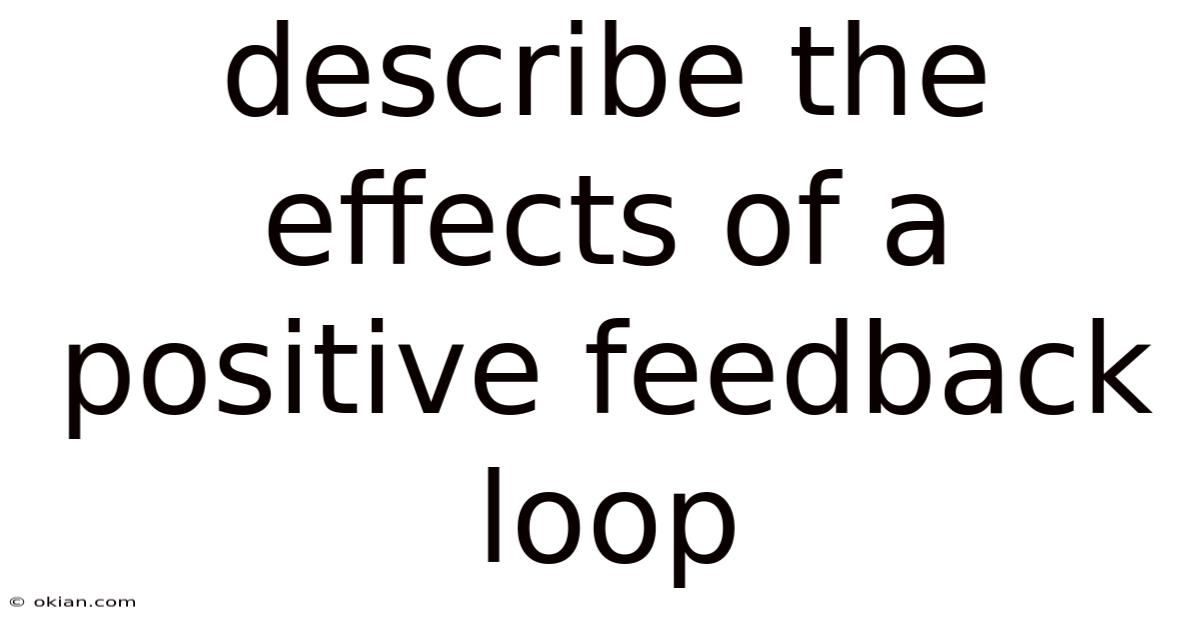 Describe The Effects Of A Positive Feedback Loop