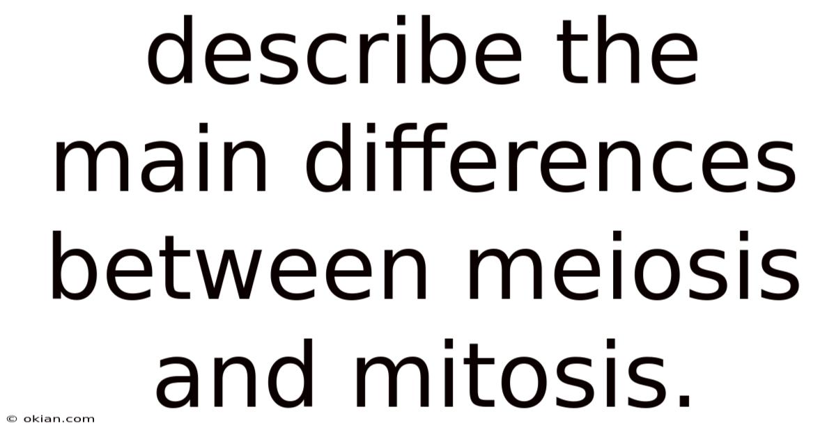 Describe The Main Differences Between Meiosis And Mitosis.