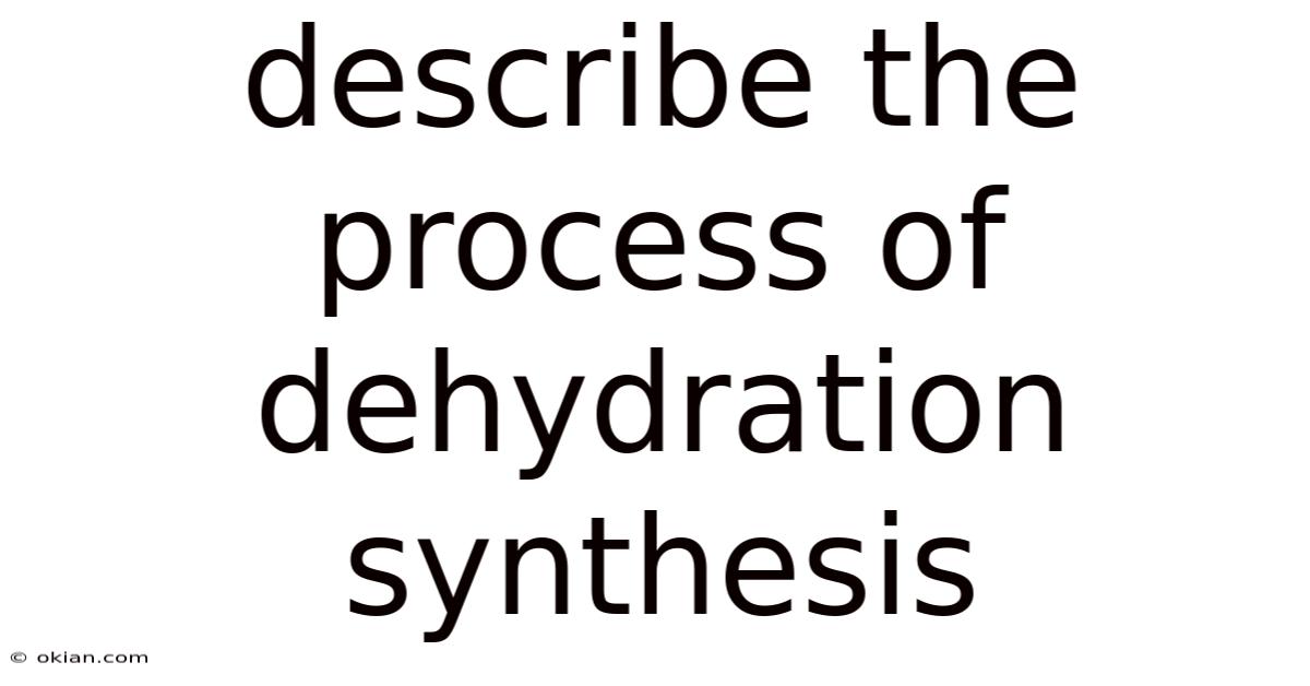 Describe The Process Of Dehydration Synthesis