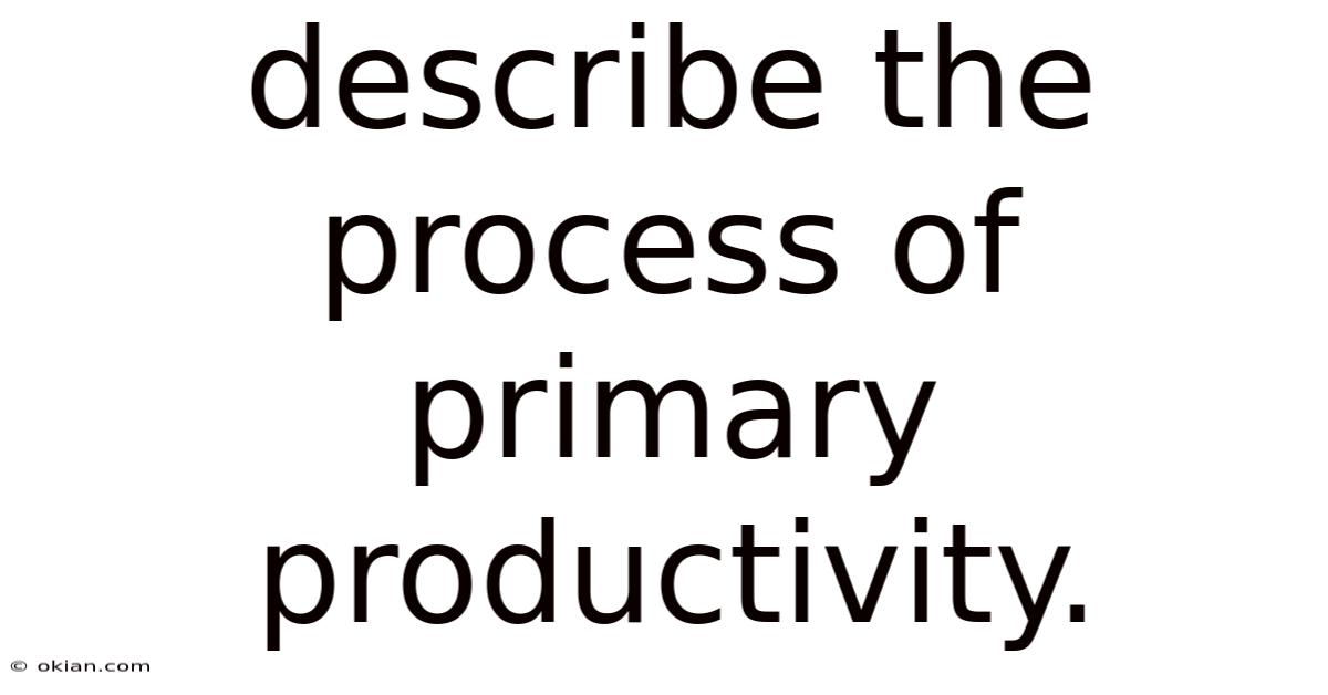 Describe The Process Of Primary Productivity.