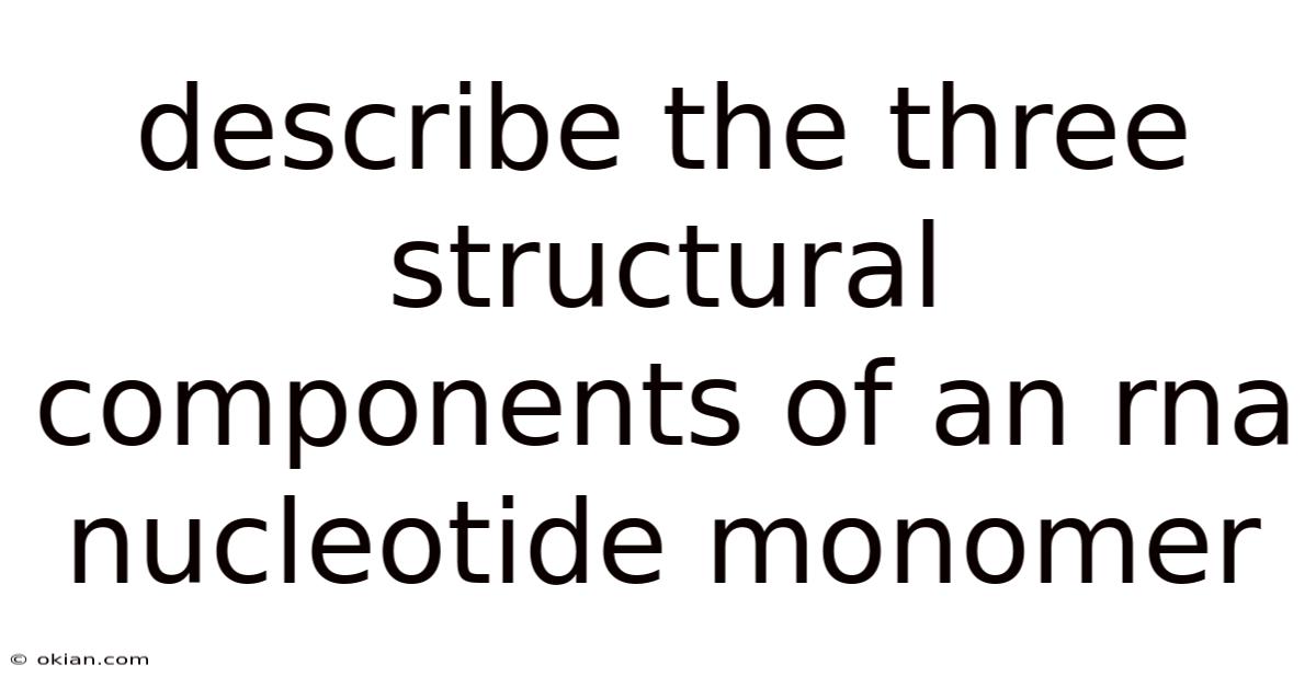 Describe The Three Structural Components Of An Rna Nucleotide Monomer