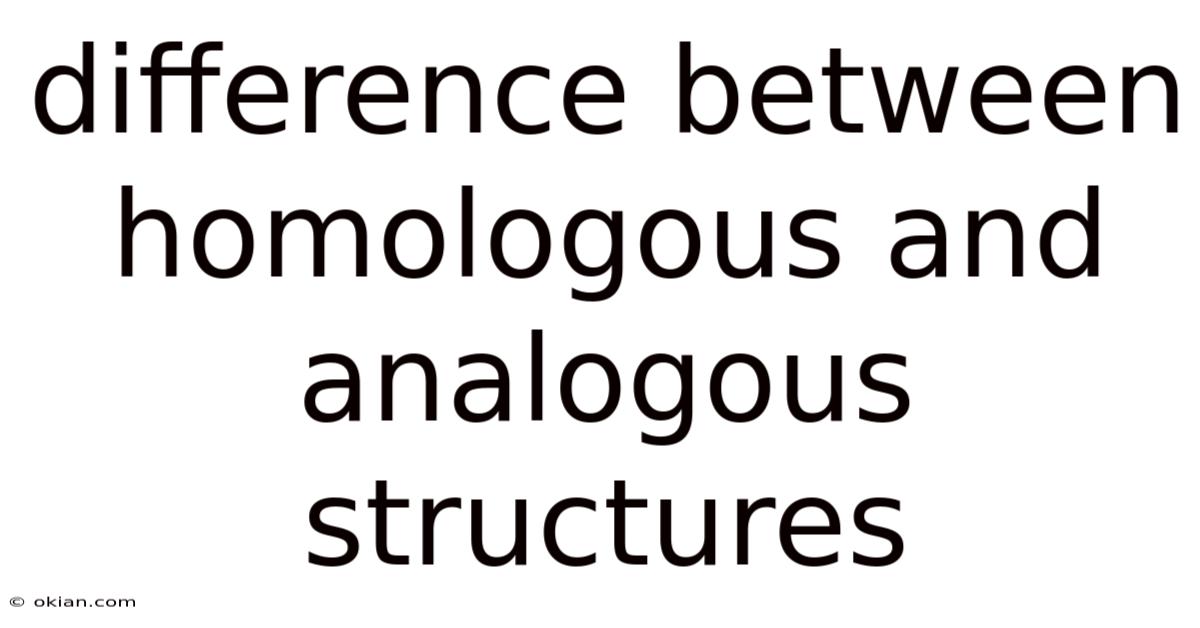 Difference Between Homologous And Analogous Structures