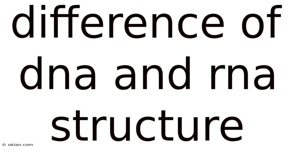 Difference Of Dna And Rna Structure