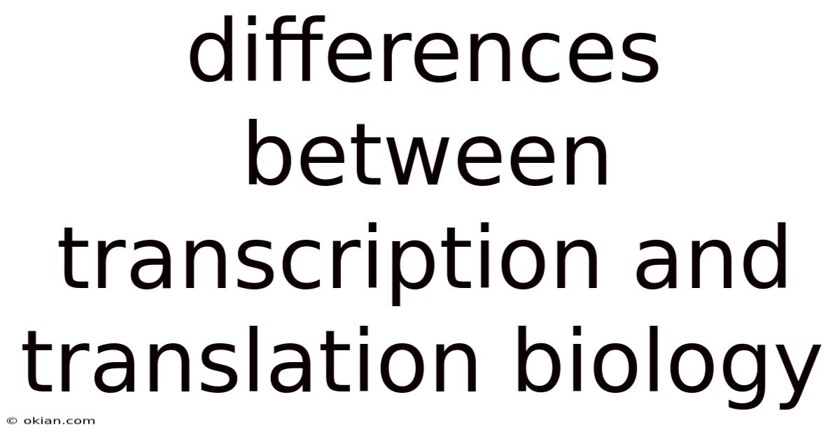 Differences Between Transcription And Translation Biology