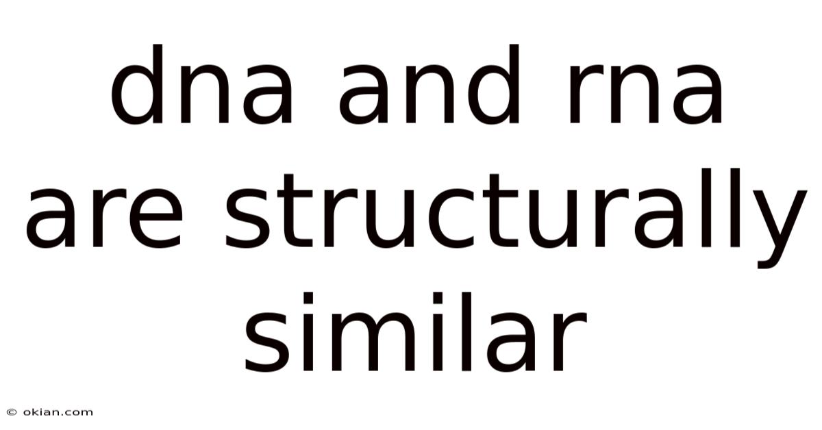 Dna And Rna Are Structurally Similar