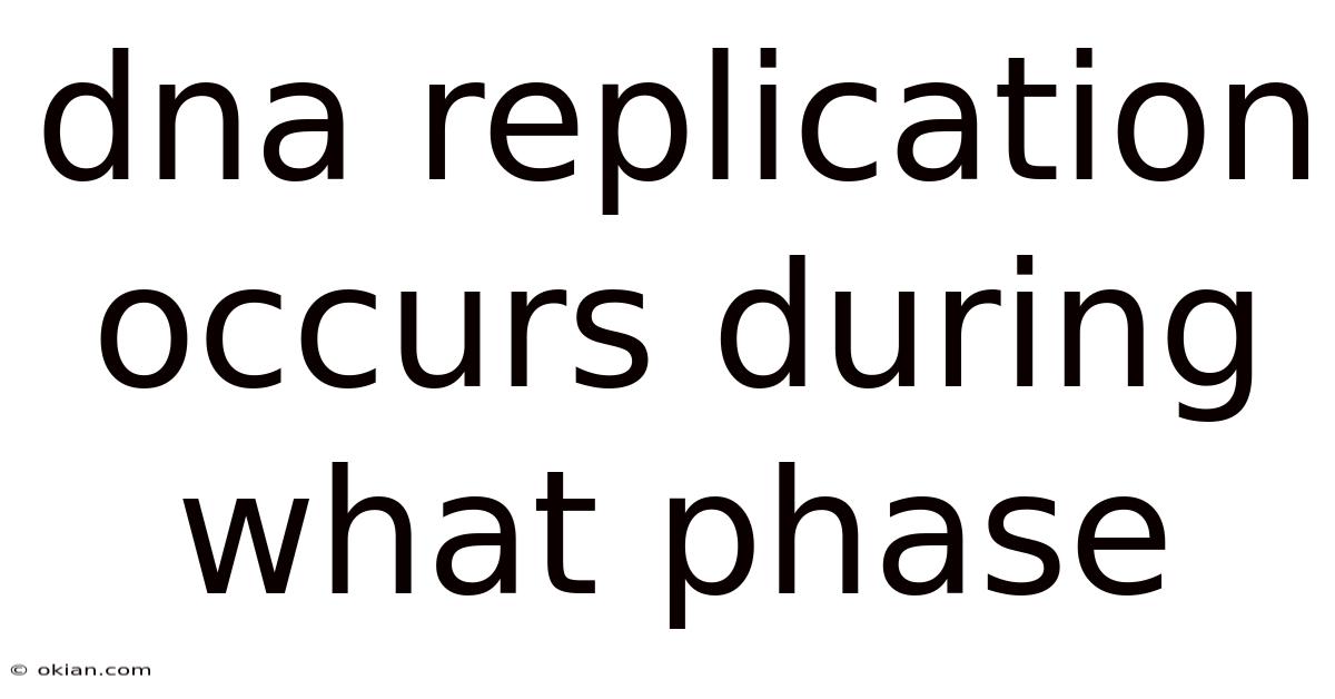 Dna Replication Occurs During What Phase