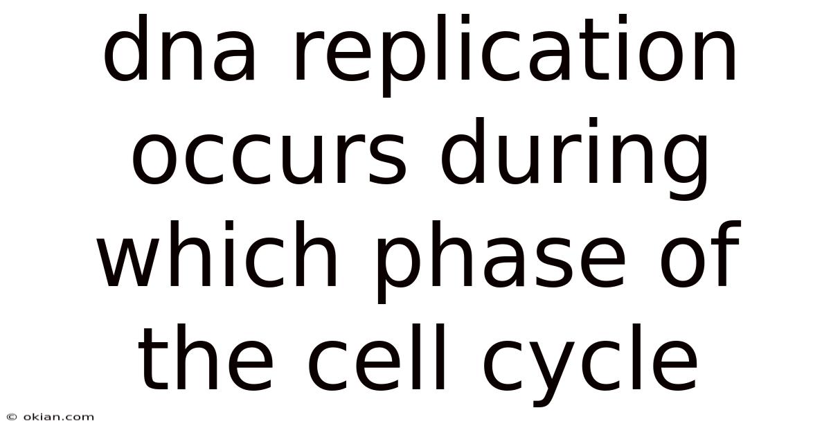 Dna Replication Occurs During Which Phase Of The Cell Cycle