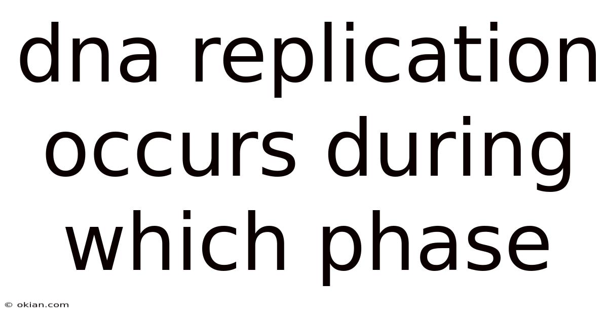 Dna Replication Occurs During Which Phase
