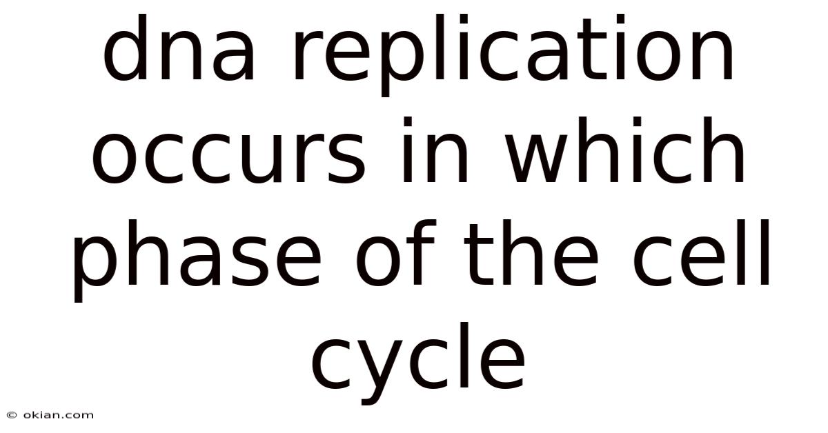 Dna Replication Occurs In Which Phase Of The Cell Cycle