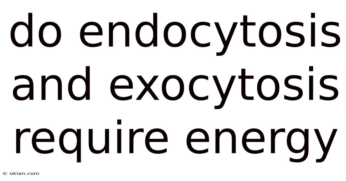 Do Endocytosis And Exocytosis Require Energy