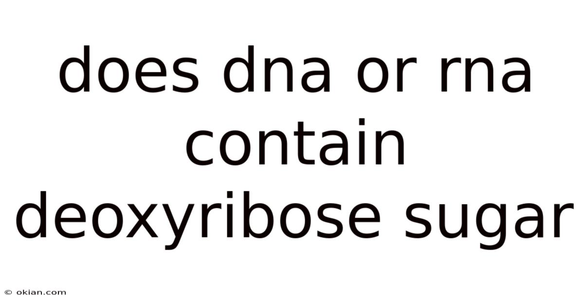 Does Dna Or Rna Contain Deoxyribose Sugar