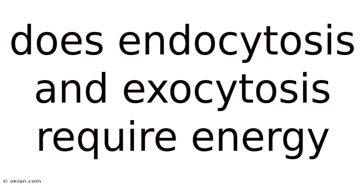 Does Endocytosis And Exocytosis Require Energy