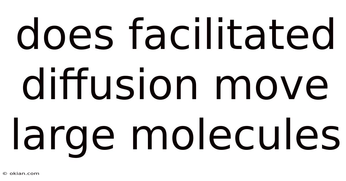Does Facilitated Diffusion Move Large Molecules