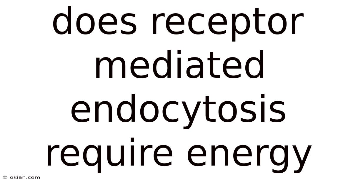 Does Receptor Mediated Endocytosis Require Energy