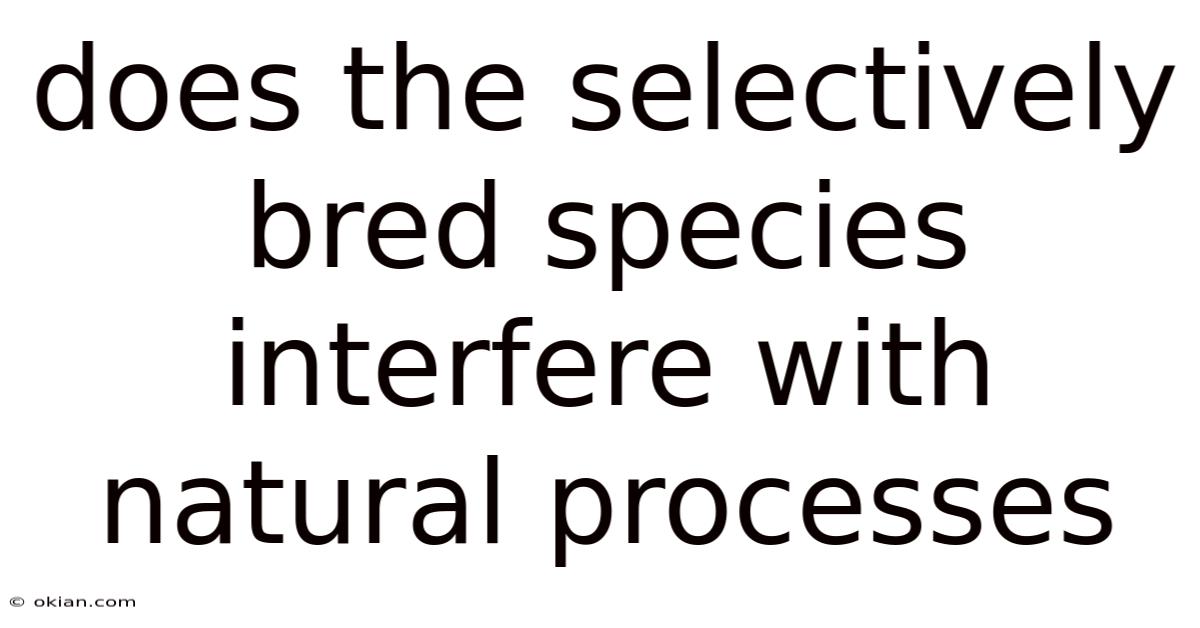 Does The Selectively Bred Species Interfere With Natural Processes
