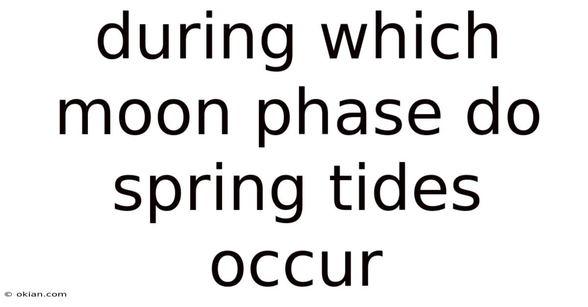 During Which Moon Phase Do Spring Tides Occur