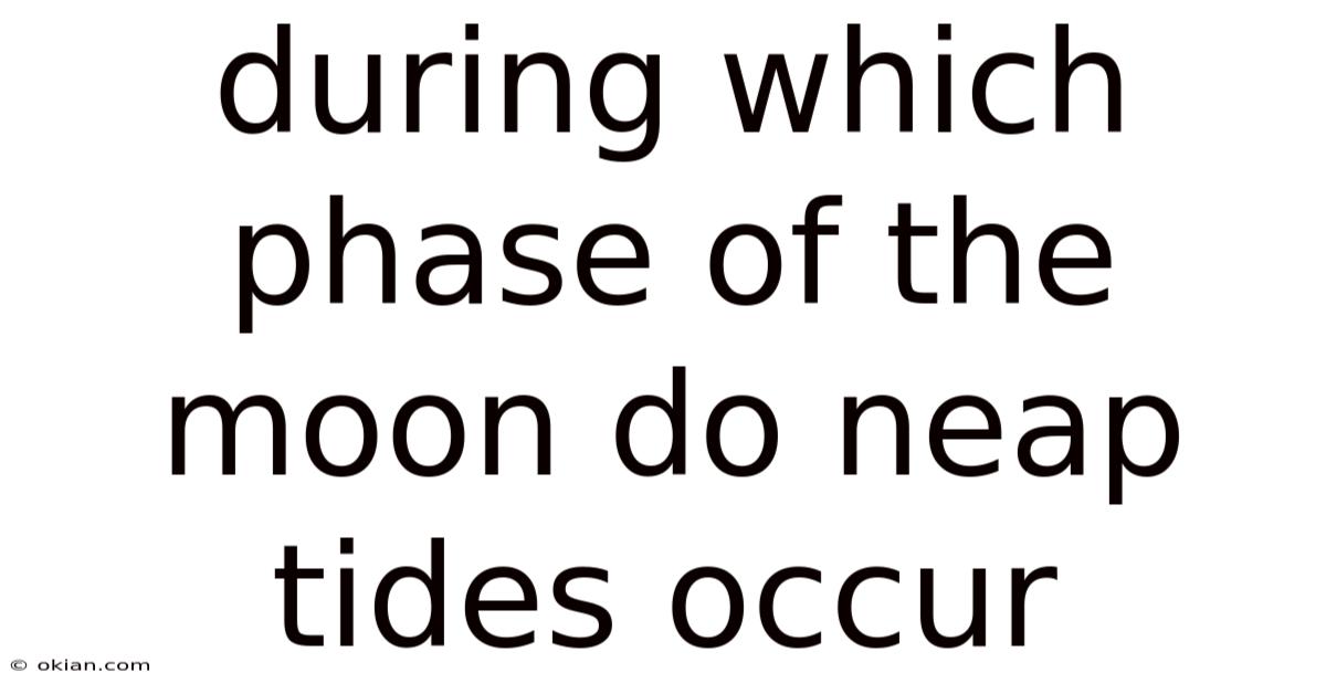 During Which Phase Of The Moon Do Neap Tides Occur