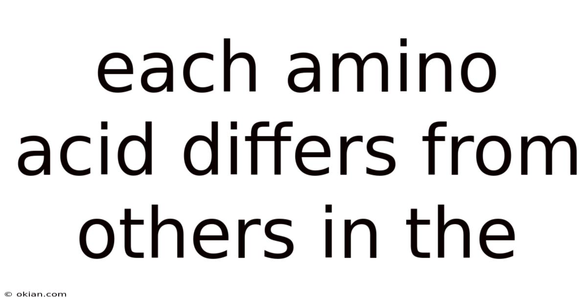 Each Amino Acid Differs From Others In The