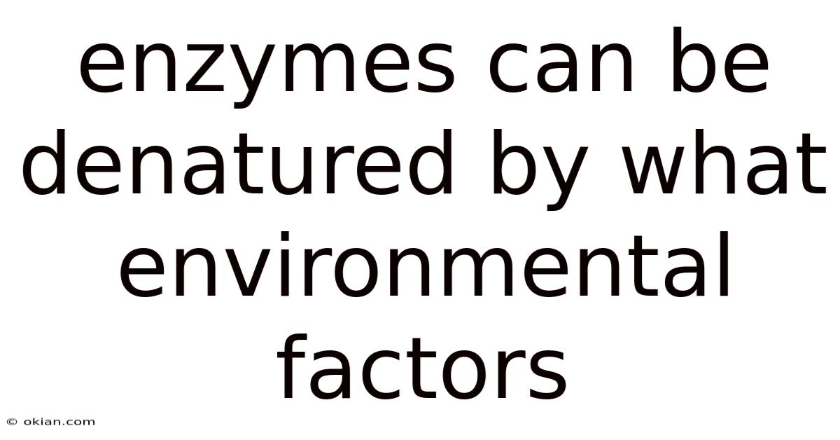 Enzymes Can Be Denatured By What Environmental Factors