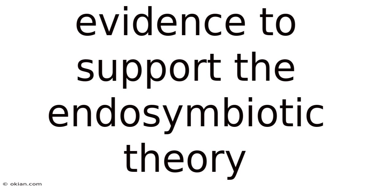 Evidence To Support The Endosymbiotic Theory