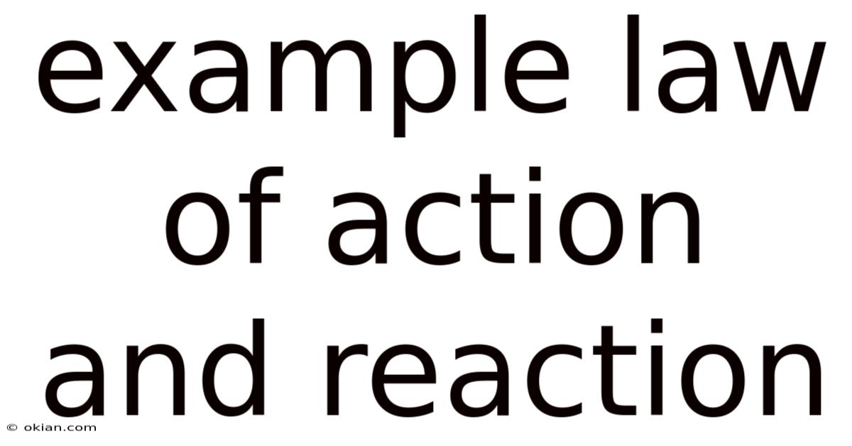 Example Law Of Action And Reaction