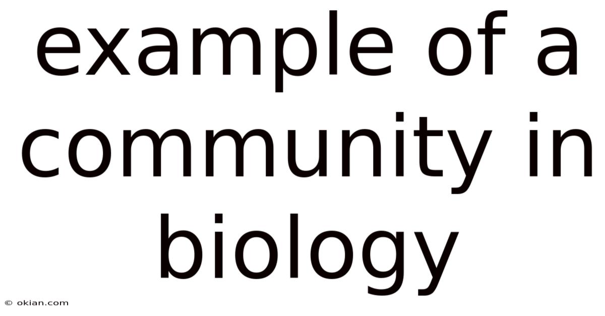 Example Of A Community In Biology