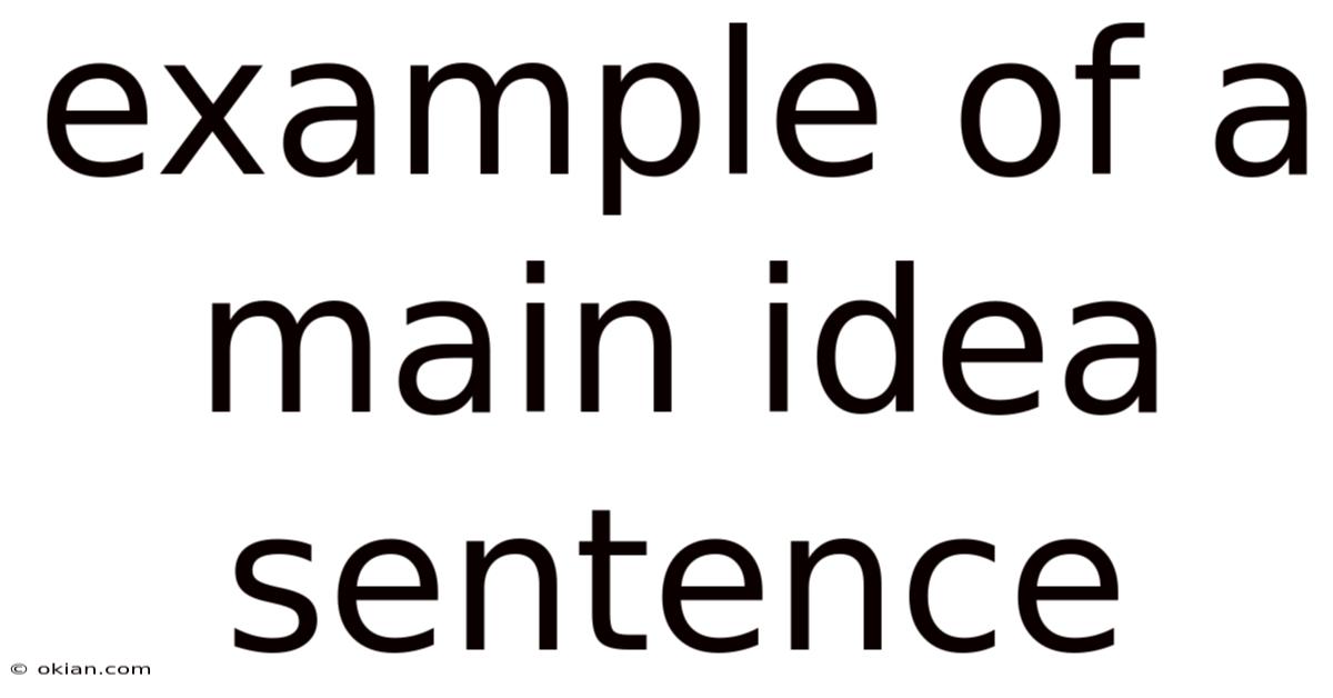 Example Of A Main Idea Sentence