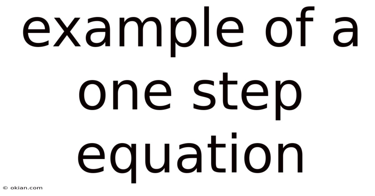 Example Of A One Step Equation