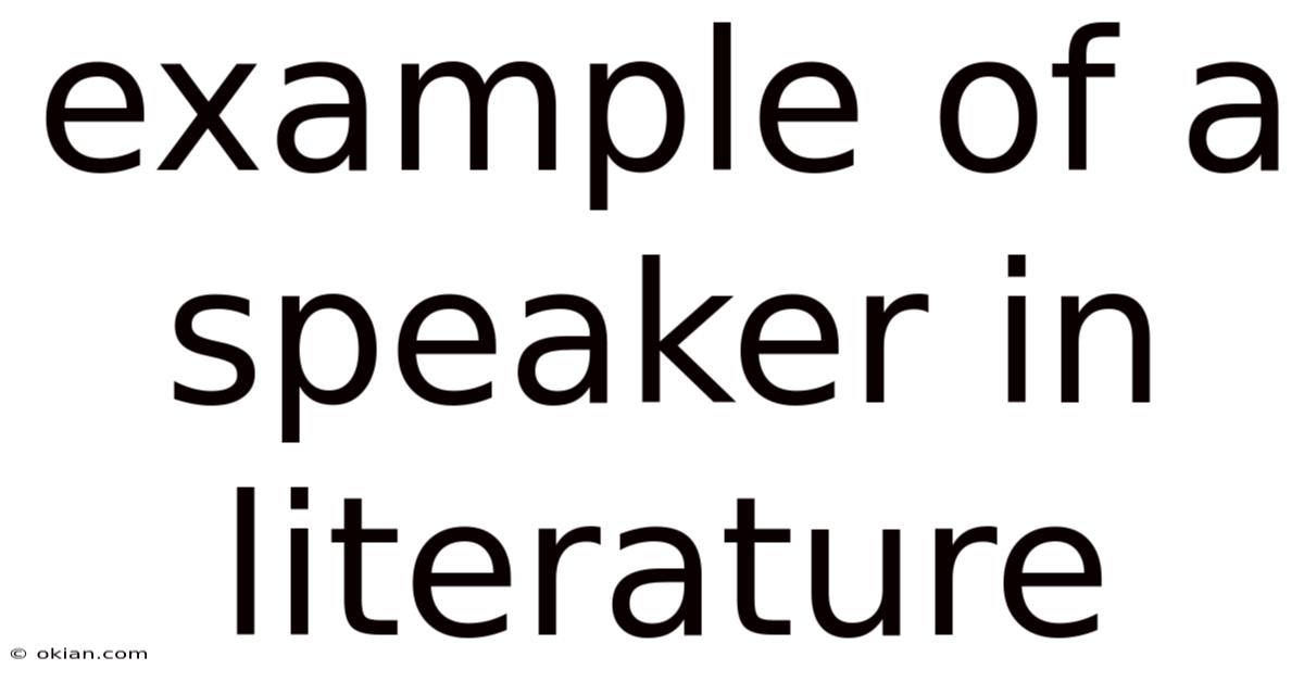 Example Of A Speaker In Literature