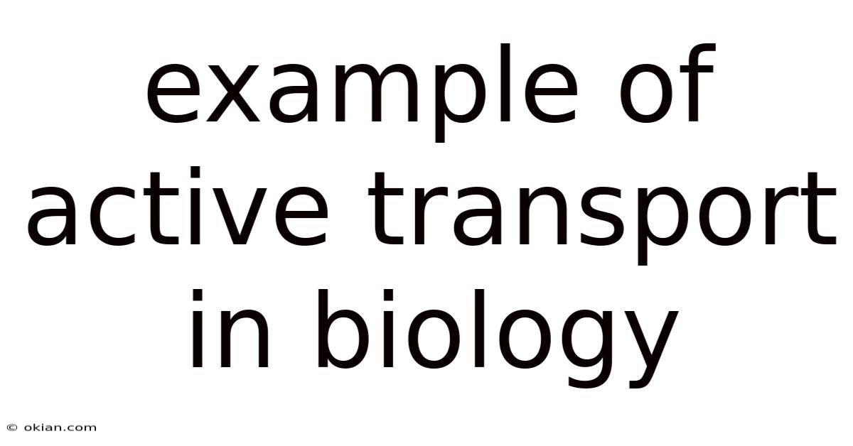 Example Of Active Transport In Biology
