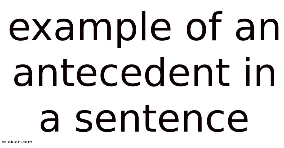 Example Of An Antecedent In A Sentence