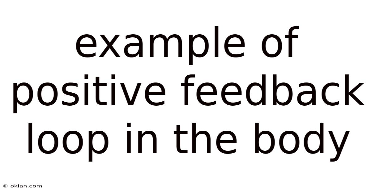 Example Of Positive Feedback Loop In The Body