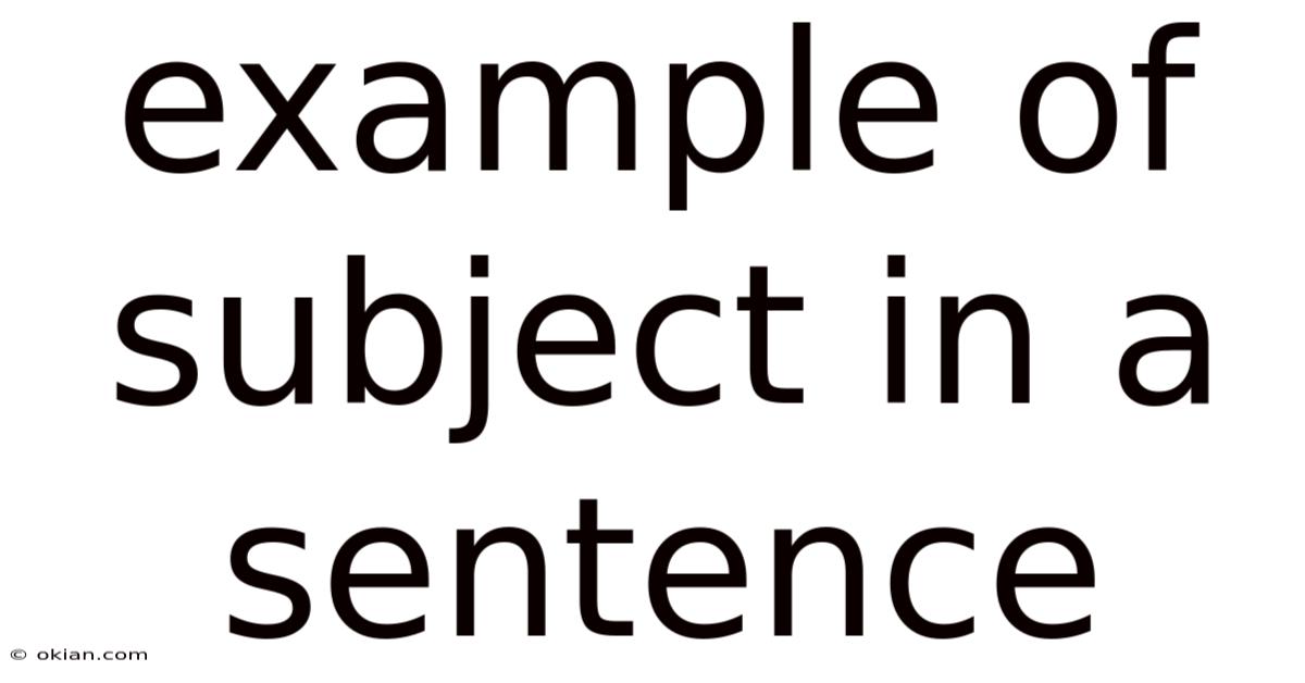 Example Of Subject In A Sentence