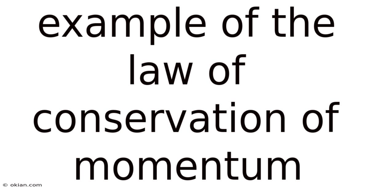 Example Of The Law Of Conservation Of Momentum