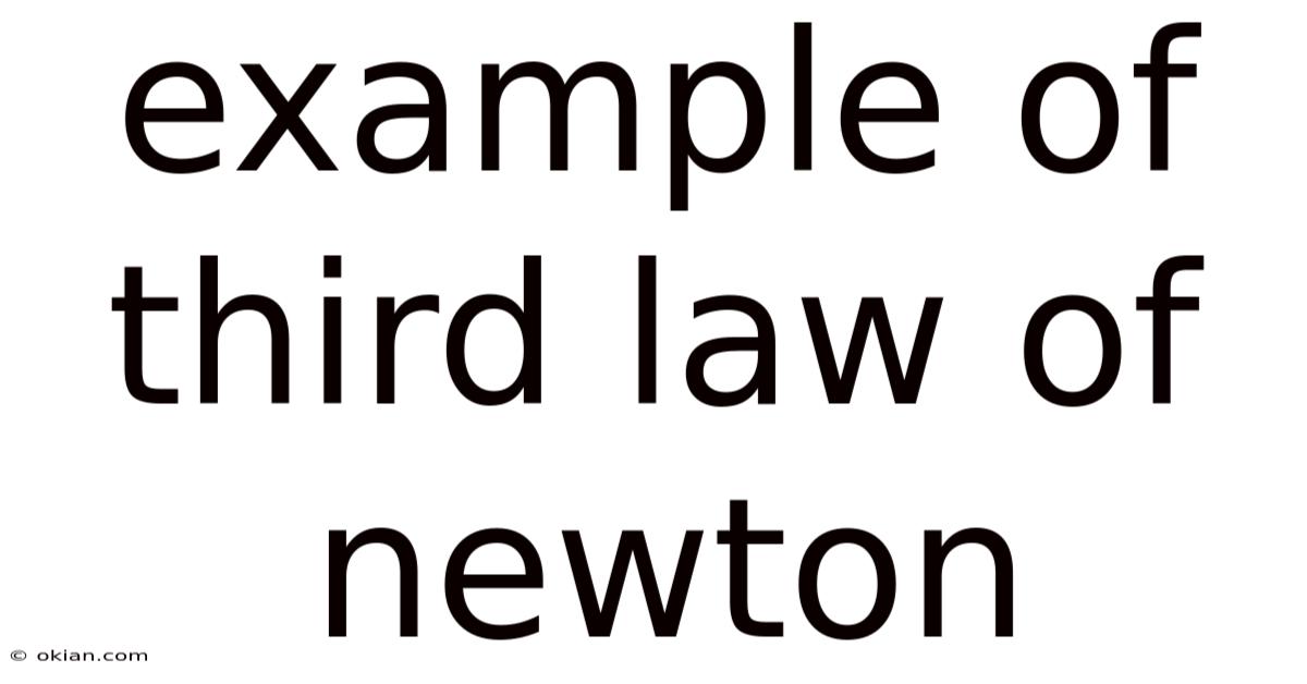 Example Of Third Law Of Newton