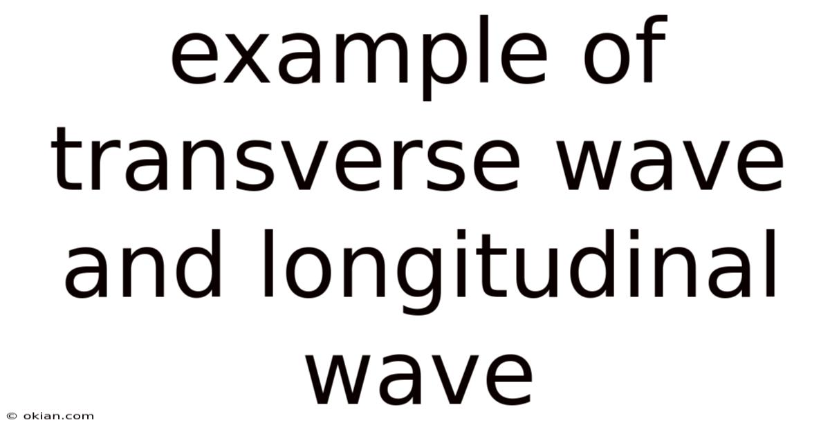 Example Of Transverse Wave And Longitudinal Wave