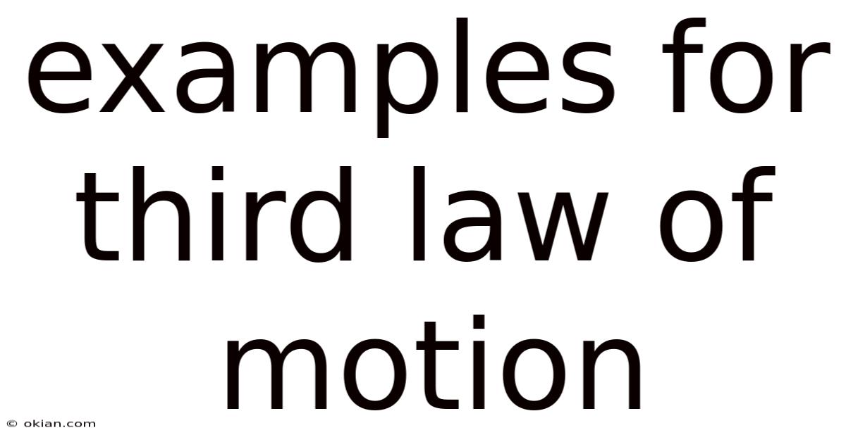 Examples For Third Law Of Motion