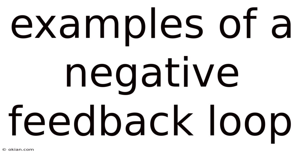 Examples Of A Negative Feedback Loop