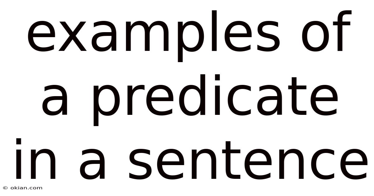 Examples Of A Predicate In A Sentence