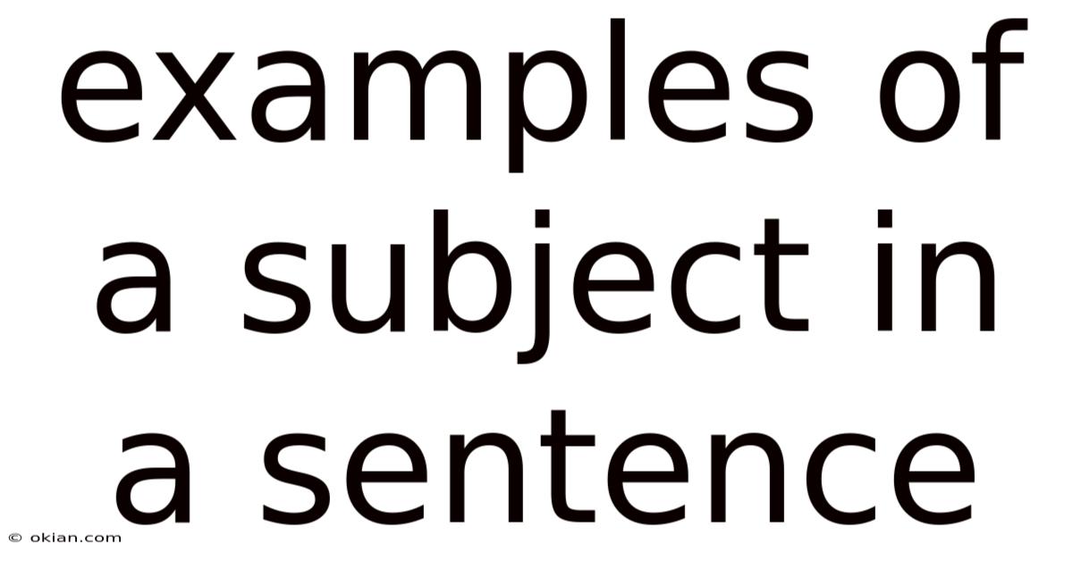 Examples Of A Subject In A Sentence