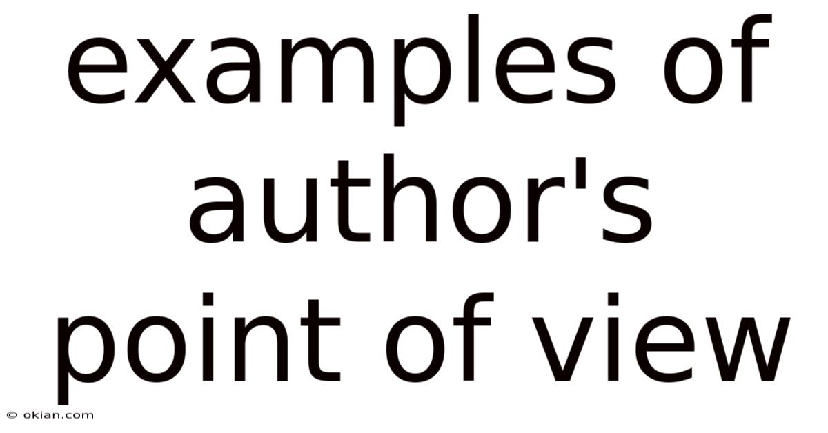 Examples Of Author's Point Of View