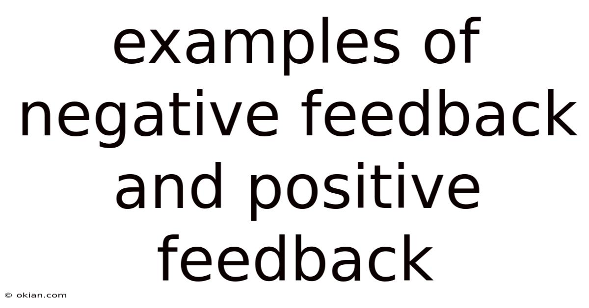 Examples Of Negative Feedback And Positive Feedback