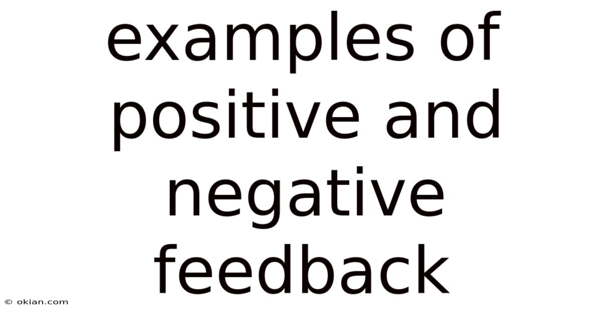 Examples Of Positive And Negative Feedback