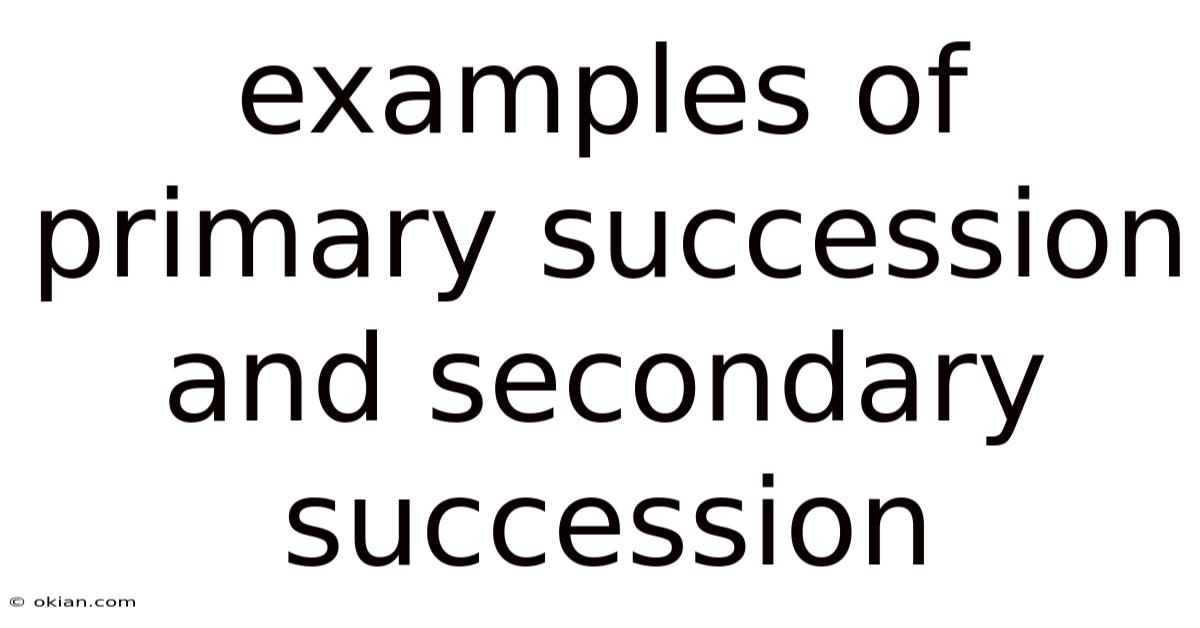 Examples Of Primary Succession And Secondary Succession