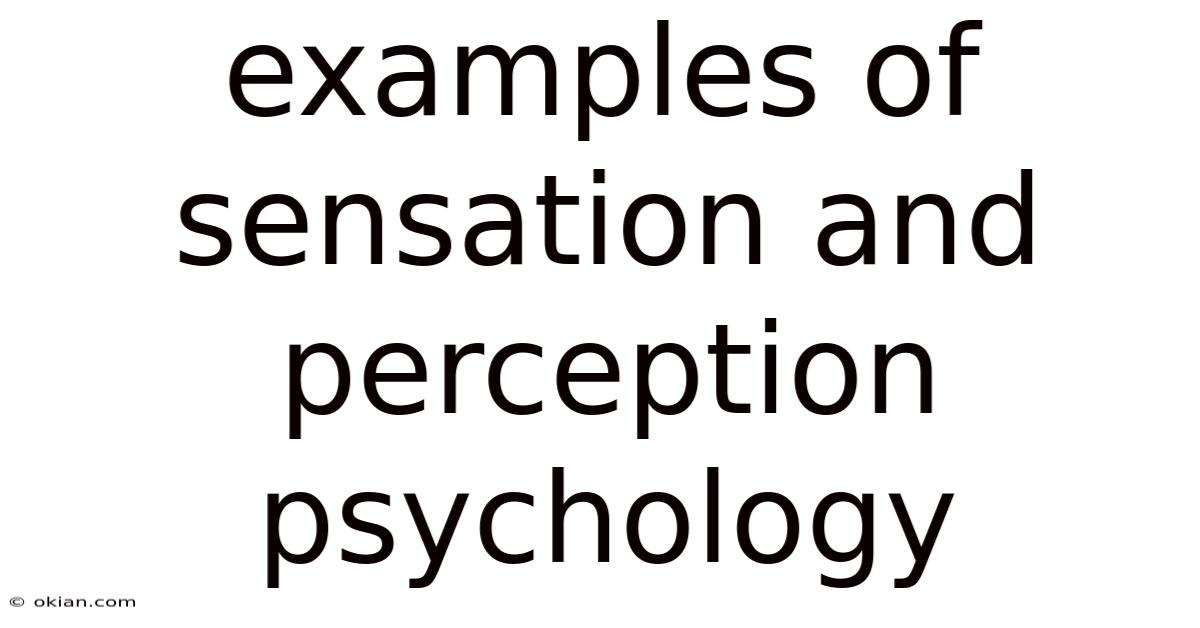Examples Of Sensation And Perception Psychology