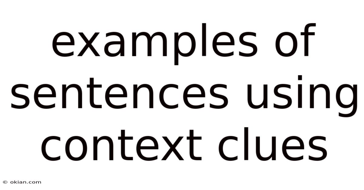 Examples Of Sentences Using Context Clues