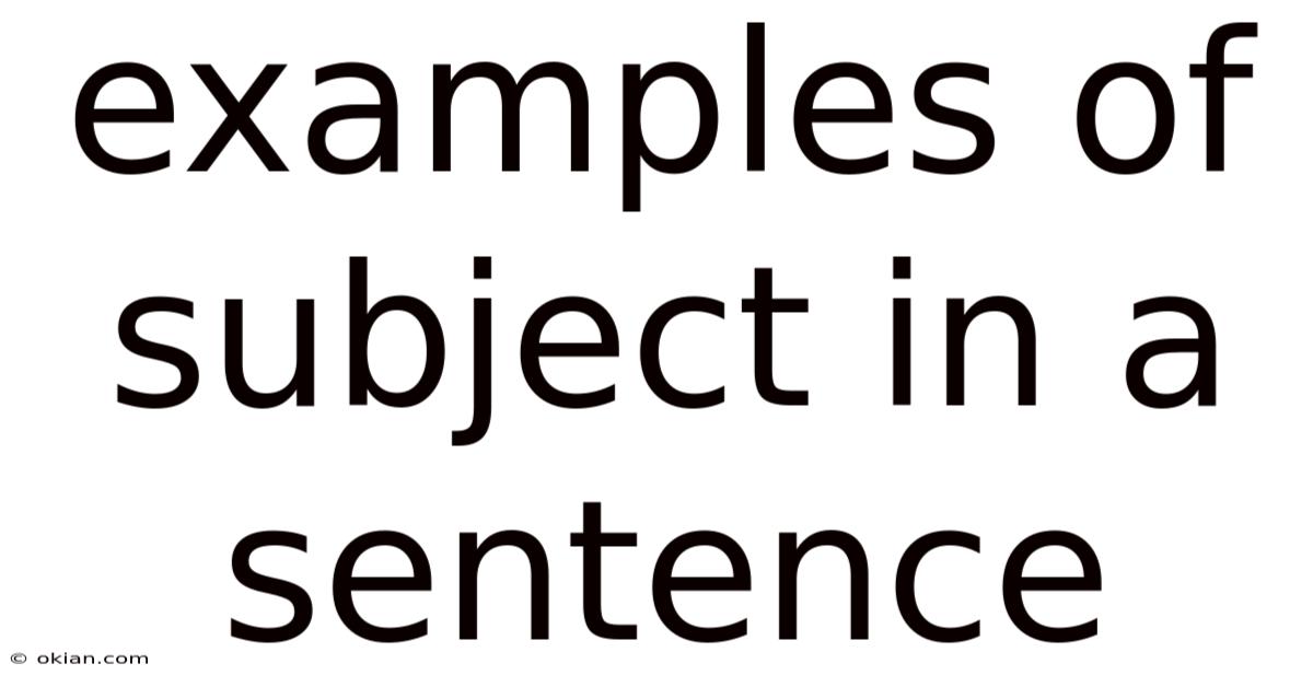 Examples Of Subject In A Sentence